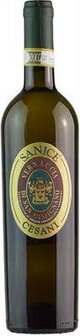 Vernaccia Sanice