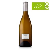 Penedès "Amphora Brisat" Natural 2019 - Parés Baltà