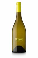 Penedès Cosmic Blanco 2021 - Parés Baltà