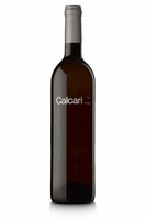 Penedès Calcarí 2021 - Parés Baltà